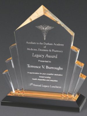 Peaked Arrow Award