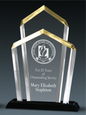 Elegant Executive Award