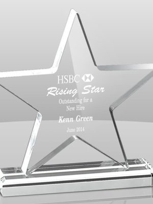 Standing Star Award (4 Colors)