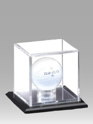 Golf Ball Display Case