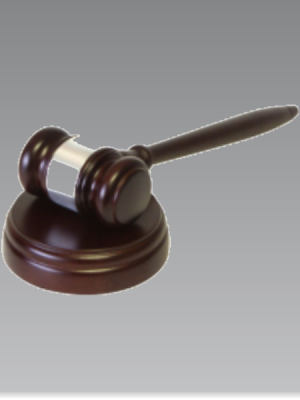 Executive Gavel and Block