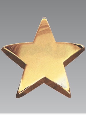 Metal Star Paperweight