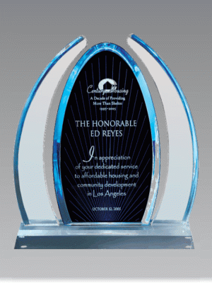 Elegant Arc Award