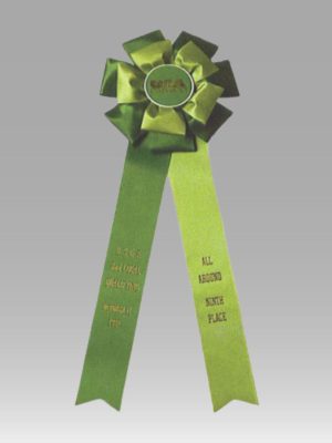 Custom Rosette Ribbon