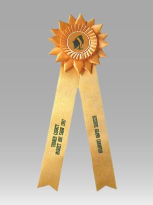 Custom Rosette Ribbon