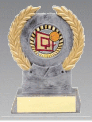 Custom Insert Trophy Award