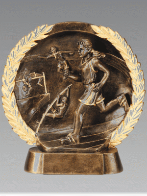 3D Track Bronze Trophy