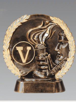 3D Victory Bronze Trophy