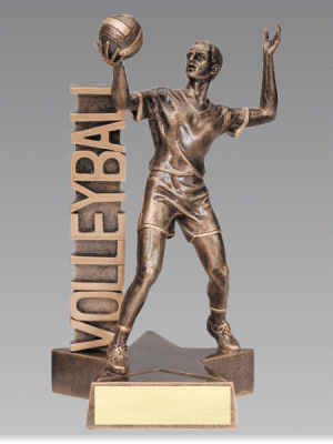 Volleyball Action Trophy (M)
