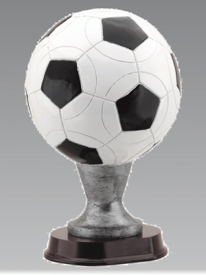 Championship Soccer Award
