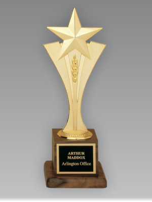Modern Metal Star Award