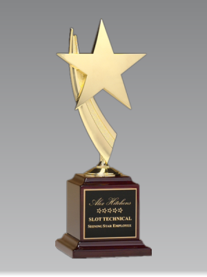 Metal Star Casting Award