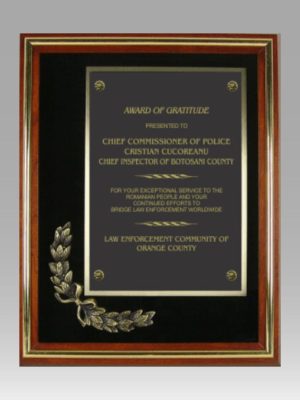 Large Glass Front Cherry Wood Plaque