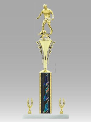 Round Column Trophy With Riser & Side Trims 15" - 17"