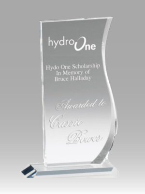 Signature Crystal Award
