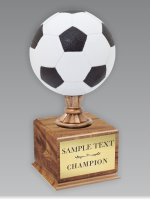 Soccer Championship Trophy