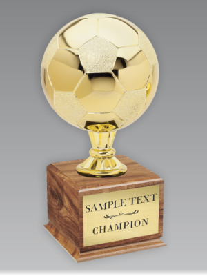 Soccer Championship Trophy Gold