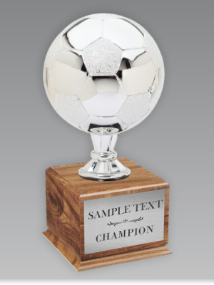 Soccer Championship Trophy Silver