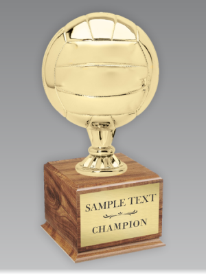 Volleyball Championship Trophy Gold