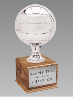 Volleyball Championship Trophy Silver
