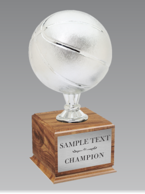 Basketball Championship Trophy Silver
