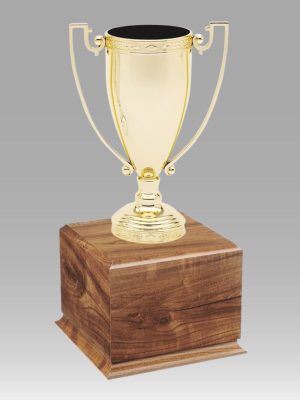 Traditional Gold Cup Trophy