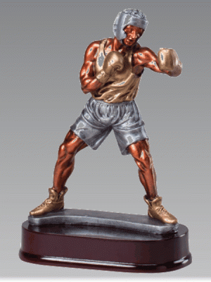 Boxing Trophy