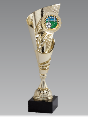 Clinton Trophy Cup
