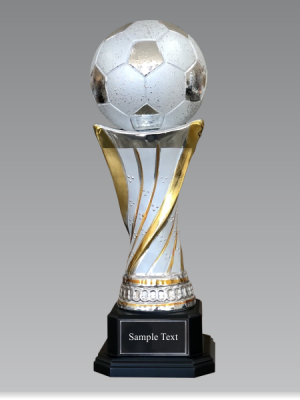 Ceramic Soccer Trophy