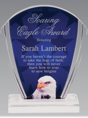 Acrylic Eagle Award