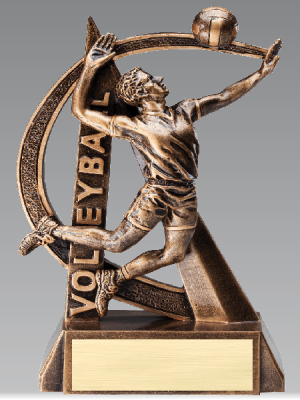 Volleyball Power Trophy