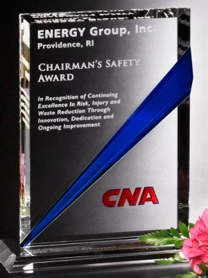 DOVER INDIGO RECTANGLE