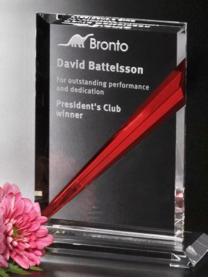 DOVER RUBY RECTANGLE