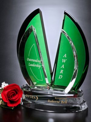 EMERALD FLIGHT AWARD