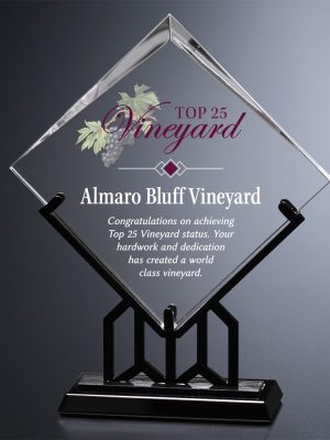 BRIXEN DIAMOND AWARD