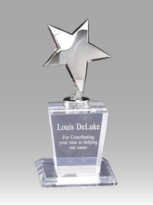 Silver Shining Star Award