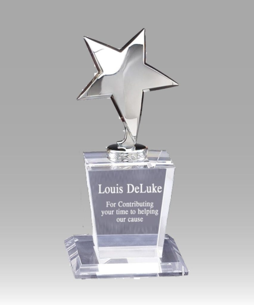 Silver Shining Star Award - Ampros Awards