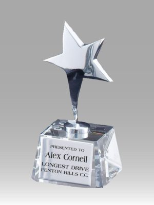 Silver Star Award