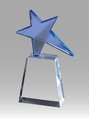 Adele Crystal Award