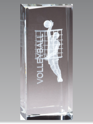 Crystal Volleyball Award (M)