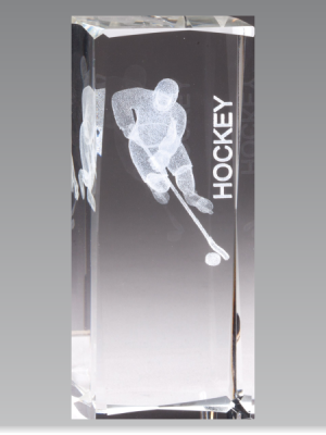 Crystal Hockey Award