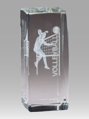 Crystal Volleyball Award (F)