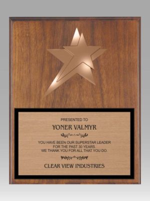 Metal Star Plaque