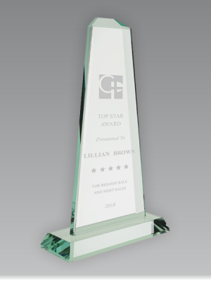 Glass Pinnacle Award