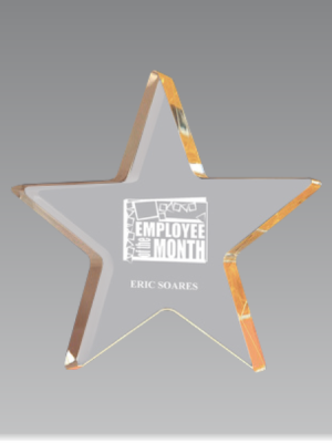 Gold Star Paperweight