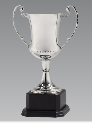 11" - 17" Nickel Plated Champion Cup