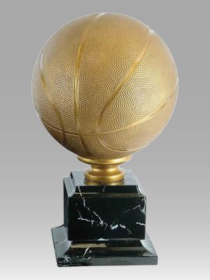 Official Size Gold Basketball Award
