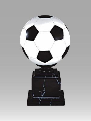 Soccer Ball Award
