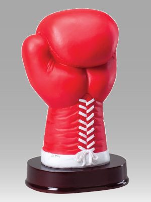 Full Color Boxing Glove Award
