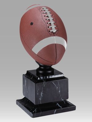 Official Size Football Award